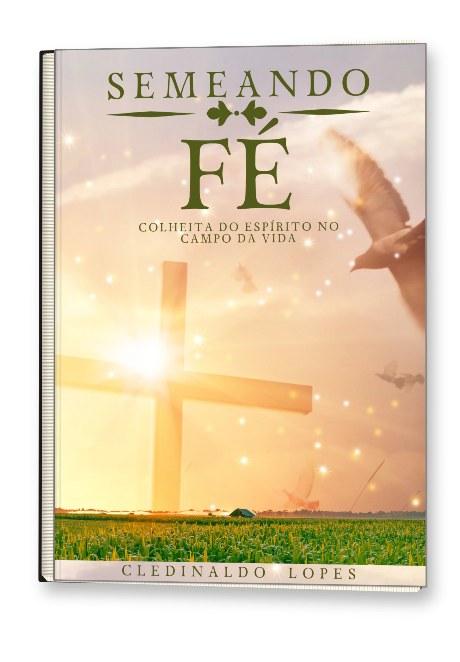 Livro Semeando Fé, de Cledinaldo Lopes