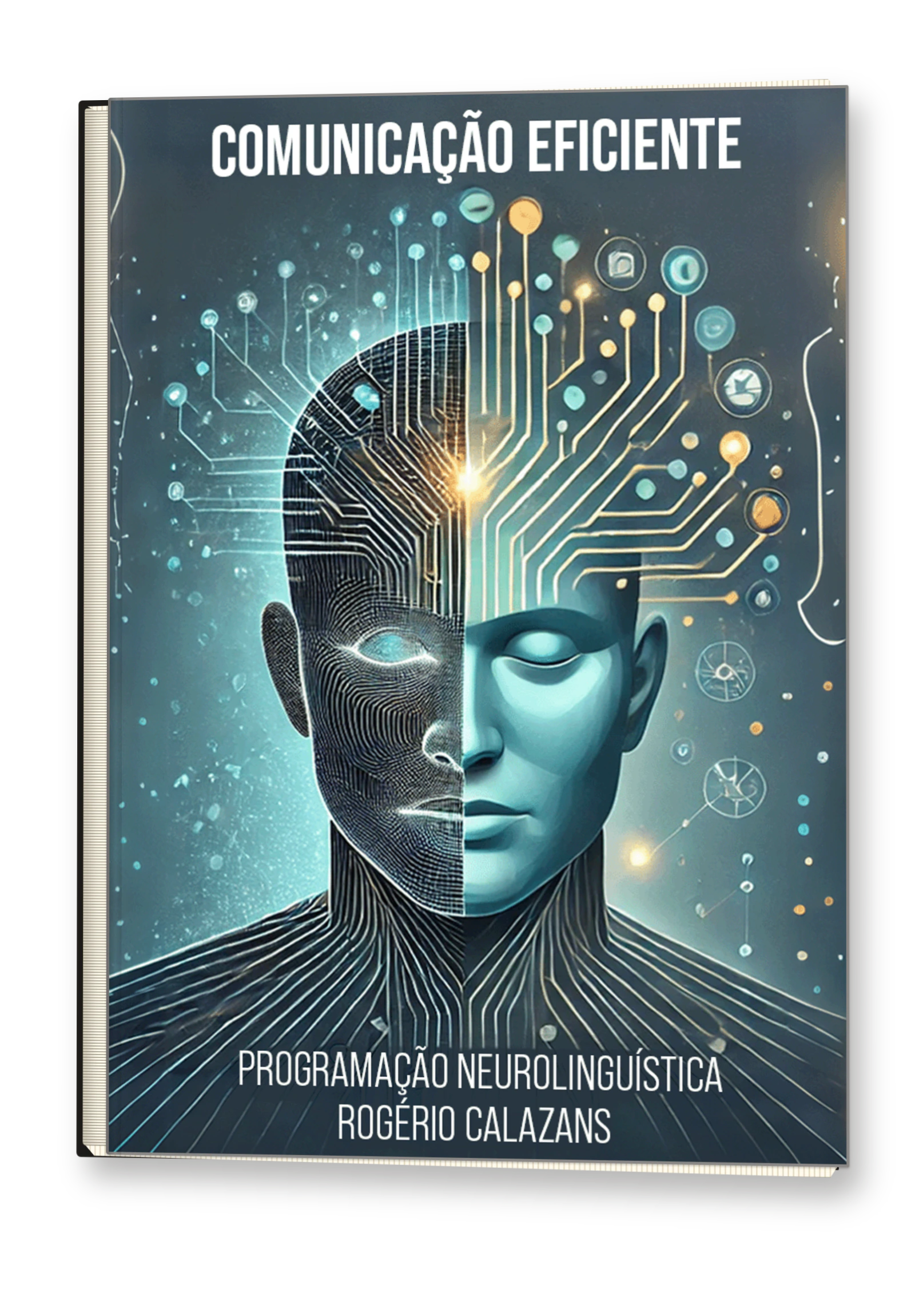 Livro Comunicação Eficiente