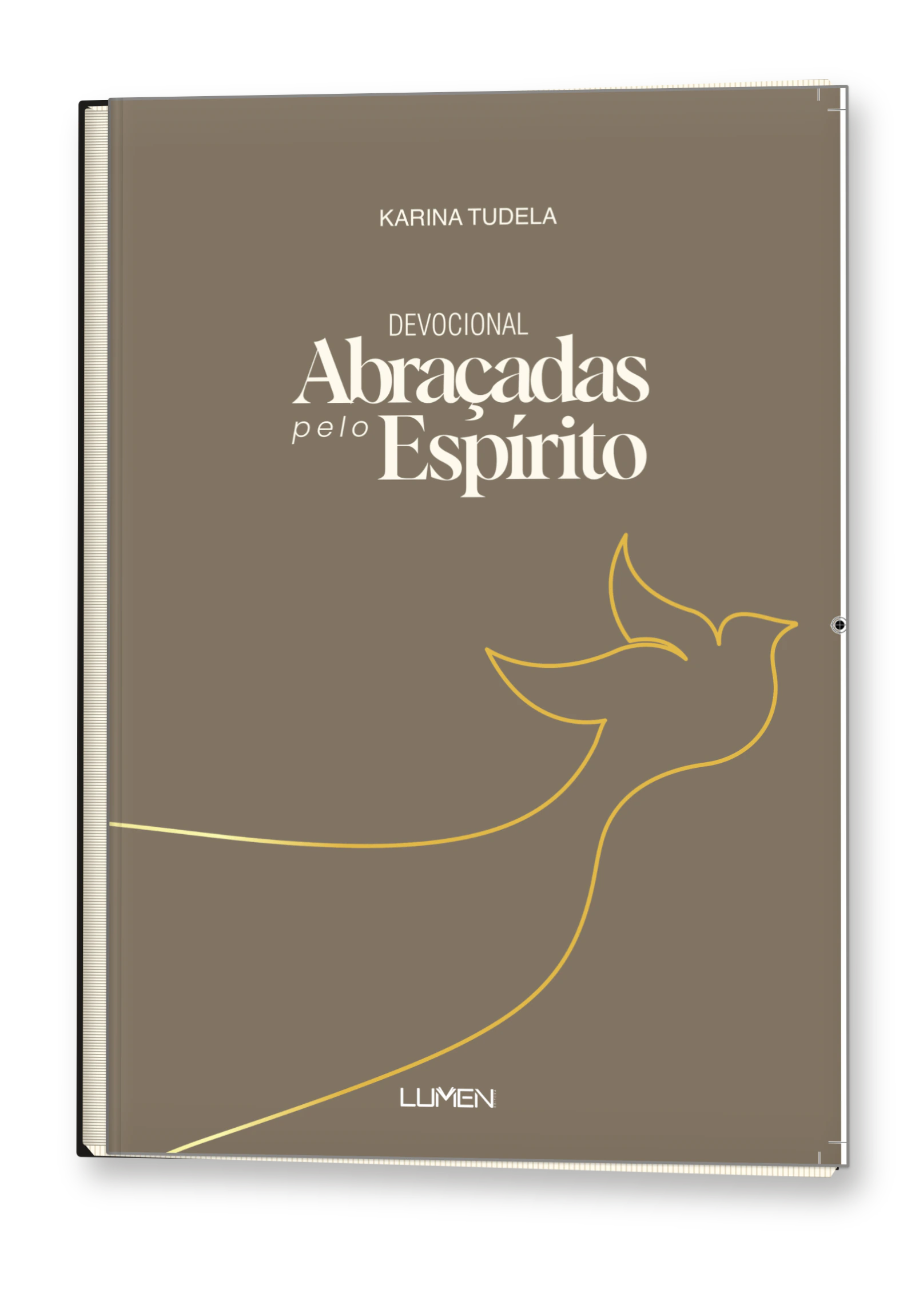 Livro Abraçadas pelo Espírito, de Karina Tudela